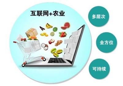 互聯(lián)網(wǎng)+農(nóng)產(chǎn)品 重塑農(nóng)產(chǎn)品銷售的新模式